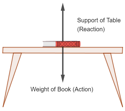 Newton's Third Law of Motion Newton's Third Law of Motion