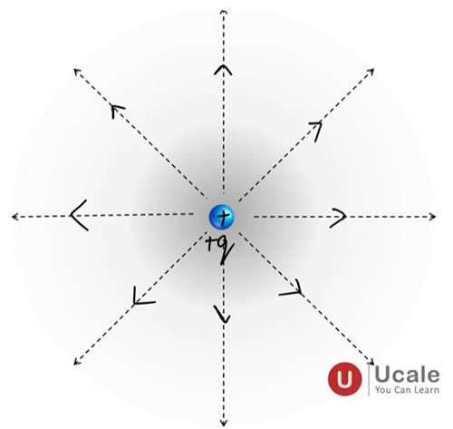 Electric Lines of Forces or (Field Lines) - Ucale
