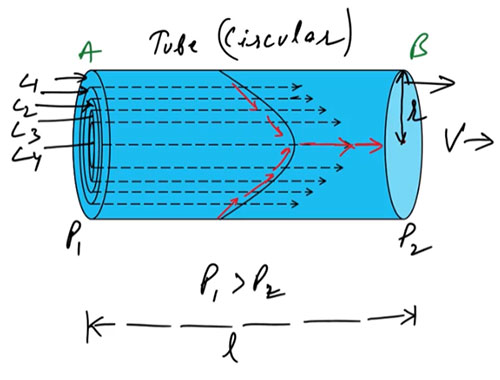 Poiseuille's Formula - Ucale