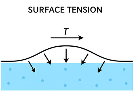 Surface Tension 1 - Ucale