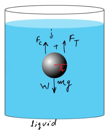Terminal Velocity - Ucale