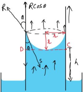 Rise of Liquid in a Capillary Tube (Ascent Formula) - Ucale